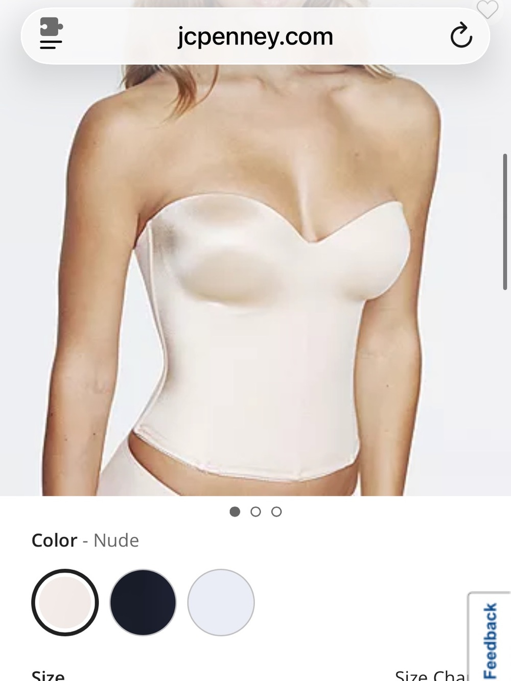 NWT Dominique Ariel Underwire Bustier 8541